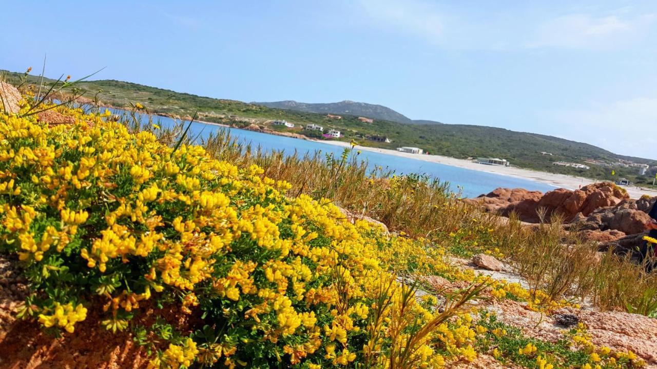 Casa Vacanza Costa Rossa Vista Mare Trinità dʼAgultu Buitenkant foto