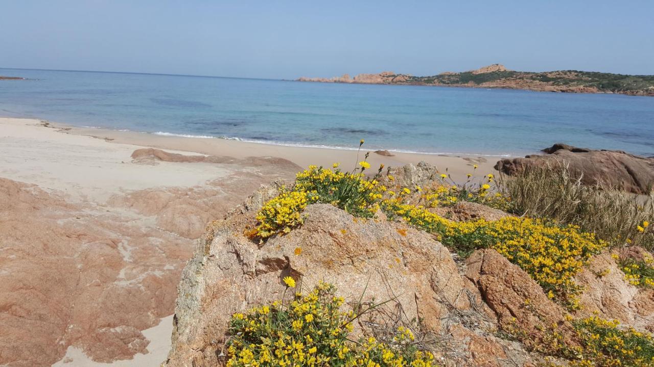 Casa Vacanza Costa Rossa Vista Mare Trinità dʼAgultu Buitenkant foto